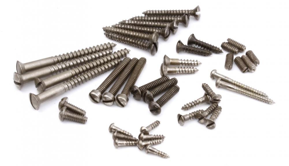 We offer a complete Screw Set for Blackguard Teles