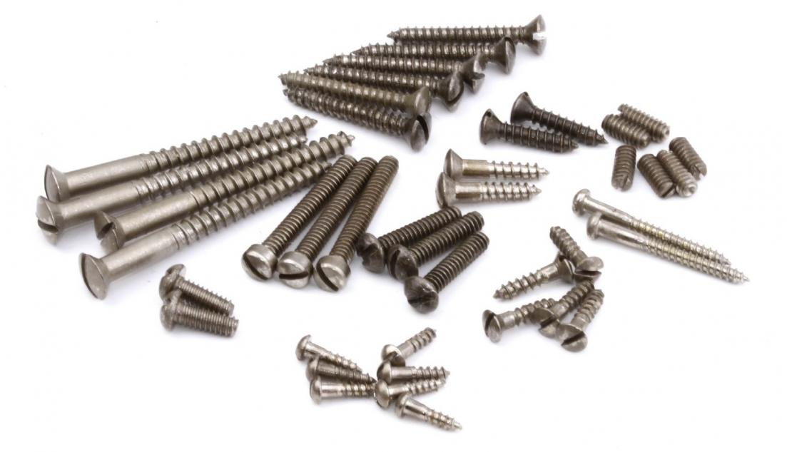 We offer a complete Screw Set for Blackguard Teles