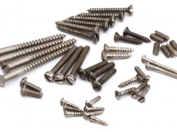 We offer a complete Screw Set for Blackguard Teles